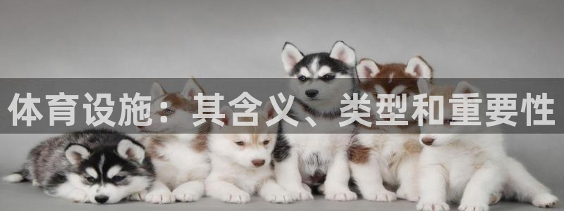 意昂体育3平台假的吗是真的吗吗：体育设施：其含义、类