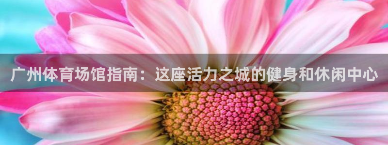 意昂体育3平台注册流程图：广州体育场馆指南：这座活力