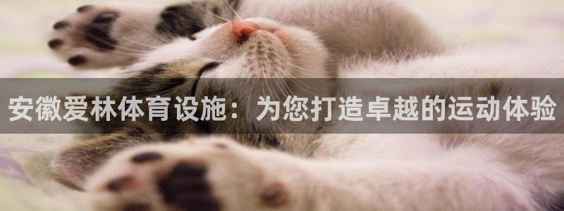 意昂体育3招商电话是多少啊：安徽爱林体育设施：为您打