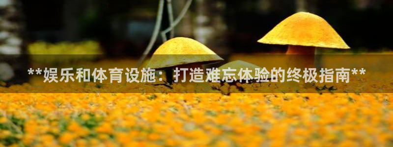 意昂3娱乐下载：**娱乐和体育设施：打造难忘体验的终