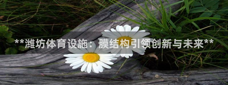 意昂体育3平台是正规平台吗知乎：**潍坊体育设施：膜