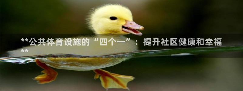 意昂3集团logo：**公共体育设施的“四个一”：提