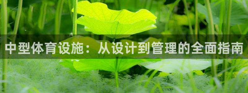 意昂3科技：中型体育设施：从设计到管理的全面指南