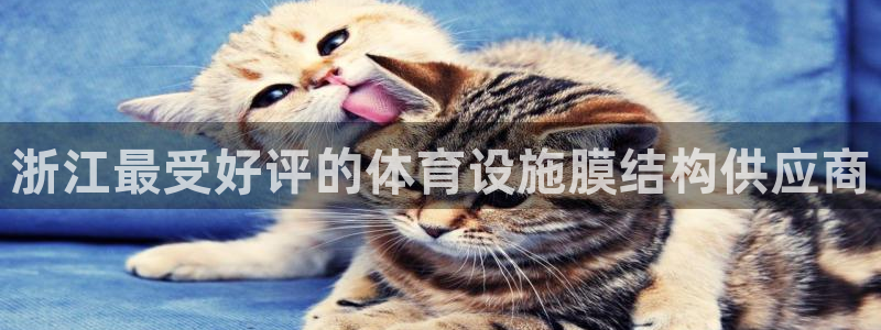 意昂3集团官网网址：浙江最受好评的体育设施膜结构供应