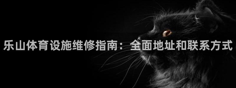 意昂3集团简介：乐山体育设施维修指南：全面地址和联系