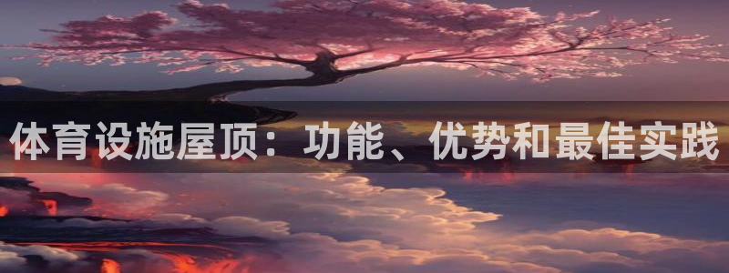意昂3集团E.ON：体育设施屋顶：功能、优势和最佳实