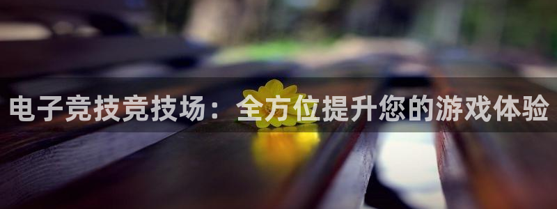 意昂3代理：电子竞技竞技场：全方位提升您的游戏体验