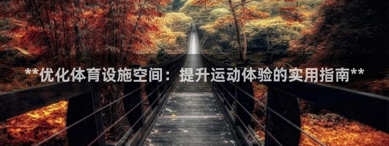 意昂体育3软件：**优化体育设施空间：提升运动体验的