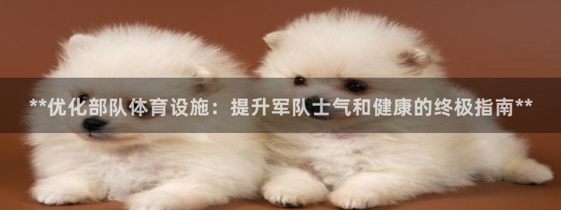 意昂体育3是干嘛的公司：**优化部队体育设施：提升军