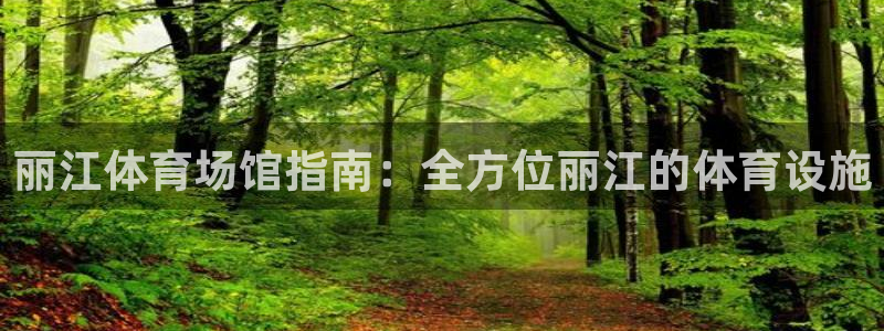 意昂体育3软件：丽江体育场馆指南：全方位丽江的体育设