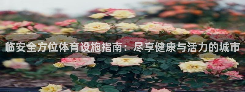意昂体育3官方客服电话：临安全方位体育设施指南：尽享