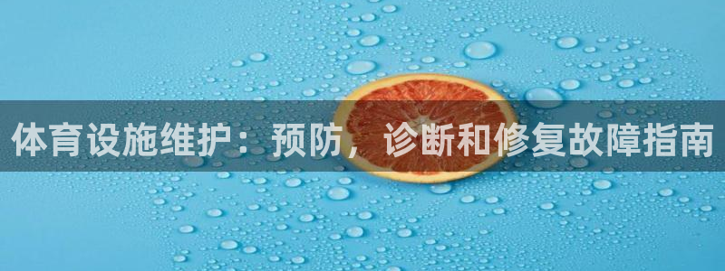 意昂平台体育：体育设施维护：预防，诊断和修复故障指南