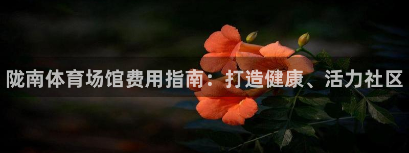 意昂3集团官网网址：陇南体育场馆费用指南：打造健康、