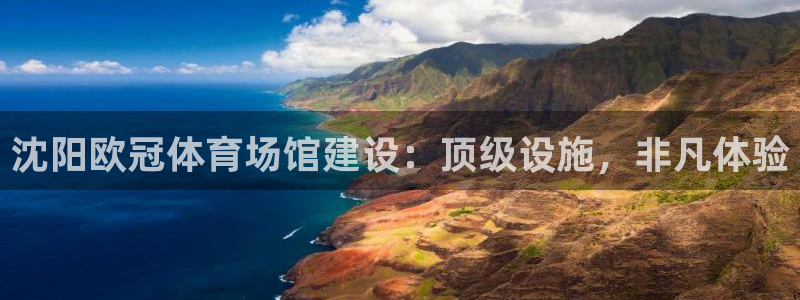 意昂3新能源：沈阳欧冠体育场馆建设：顶级设施，非凡体