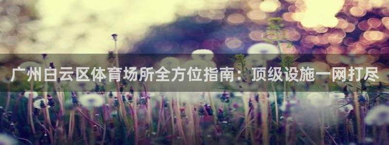 意昂体育3招商电话：广州白云区体育场所全方位指南：顶