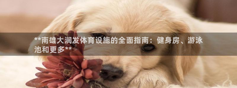 意昂3娱乐代理怎么样：**南雄大润发体育设施的全面指