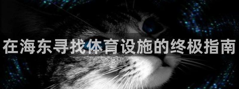 意昂体育3招商：在海东寻找体育设施的终极指南