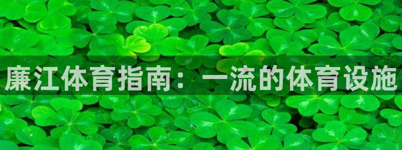 意昂3集团E.ON：廉江体育指南：一流的体育设施