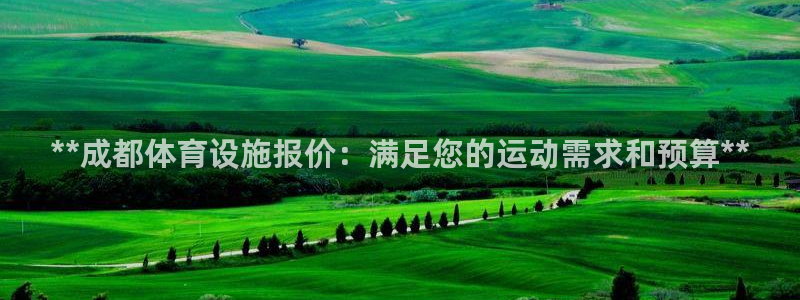 意昂平台体育：**成都体育设施报价：满足您的运动需求