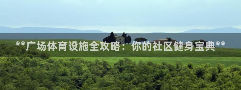 意昂体育3：**广场体育设施全攻略：你的社区健身宝典