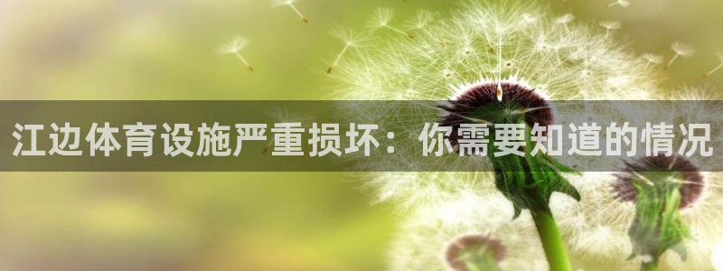 意昂体育3招商电话号码：江边体育设施严重损坏：你需要