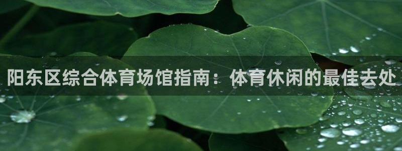 意昂体育3平台APP：阳东区综合体育场馆指南：体育休