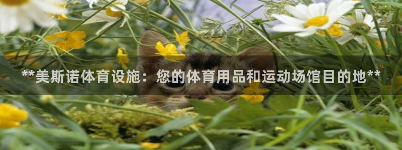 意昂3集团E.ON