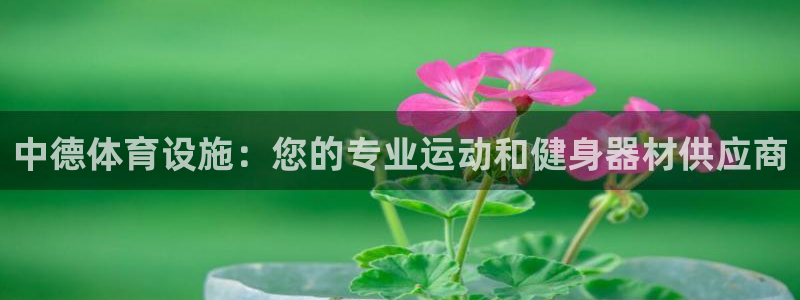 意昂体育3平台注册流程视频：中德体育设施：您的专业运