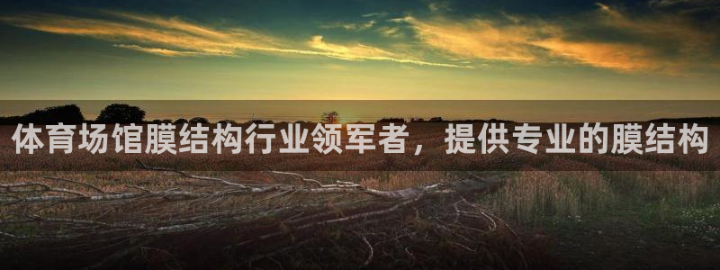 意昂3娱乐代理怎么样：体育场馆膜结构行业领军者，提供