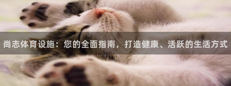 意昂体育3招商电话号码：尚志体育设施：您的全面指南，