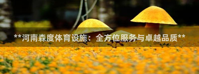 意昂3集团E.ON：**河南森度体育设施：全方位服务