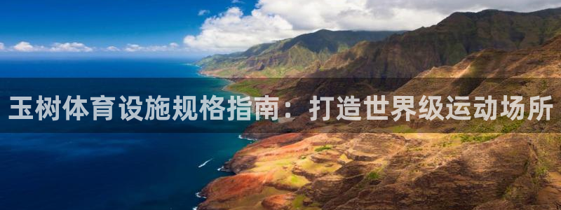 意昂3娱乐40996：玉树体育设施规格指南：打造世界