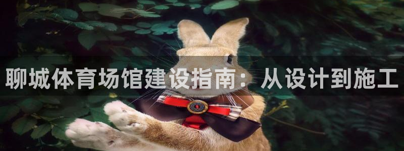 意昂体育3平台注册流程图：聊城体育场馆建设指南：从设