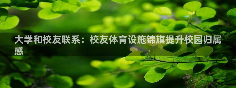 意昂3娱乐平台：大学和校友联系：校友体育设施锦旗提升