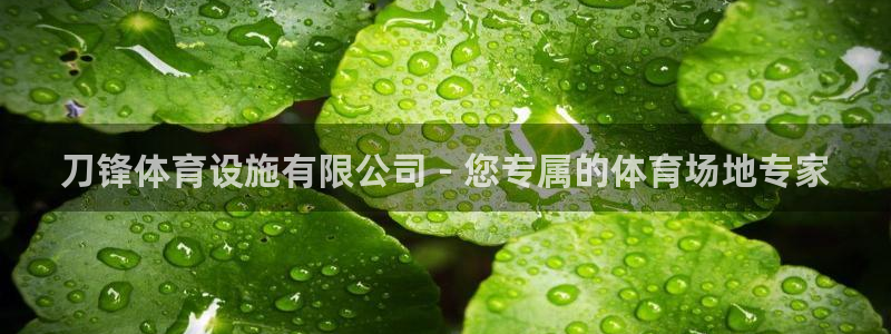 意昂3娱乐下载：刀锋体育设施有限公司 - 您专属的体