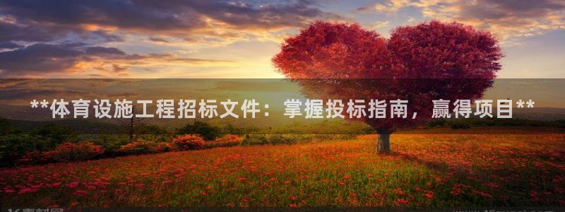 意昂3五金厂：**体育设施工程招标文件：掌握投标指南