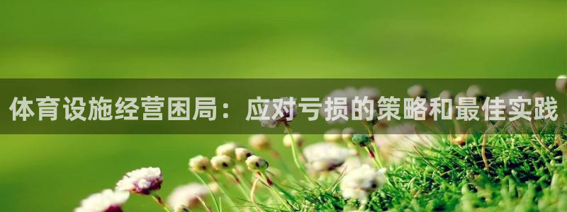 意昂体育3：体育设施经营困局：应对亏损的策略和最佳实