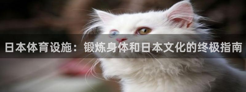 意昂体育3招商电话号码查询：日本体育设施：锻炼身体和