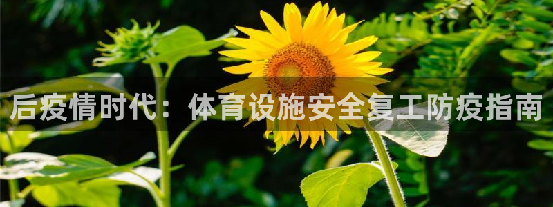 意昂体育3招商电话号码是多少：后疫情时代：体育设施安