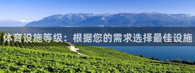 意昂体育3平台：体育设施等级：根据您的需求选择最佳设