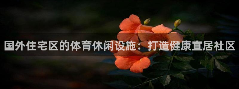 意昂平台体育：国外住宅区的体育休闲设施：打造健康宜居