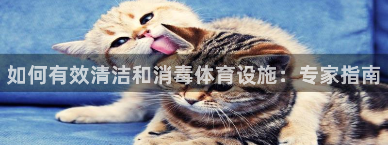 意昂3集团简介：如何有效清洁和消毒体育设施：专家指南