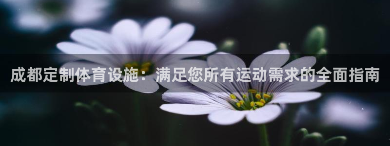 意昂体育3平台：成都定制体育设施：满足您所有运动需求