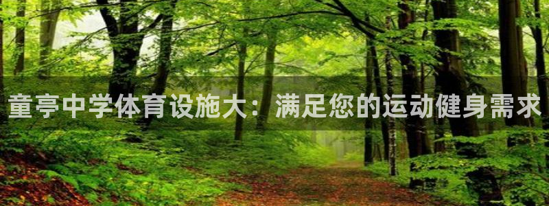 意昂3新能源：童亭中学体育设施大：满足您的运动健身需