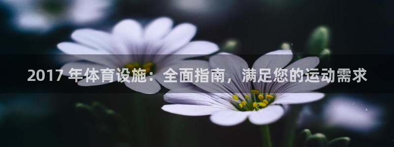 意昂体育3平台假的吗是真的吗吗：2017 年体育设施