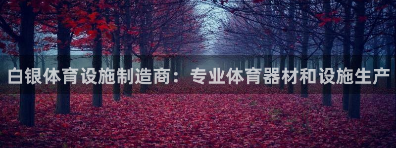 意昂体育3软件：白银体育设施制造商：专业体育器材和设
