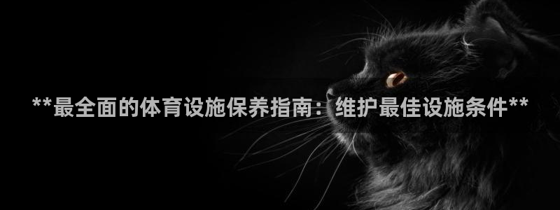 意昂体育3招商：**最全面的体育设施保养指南：维护最