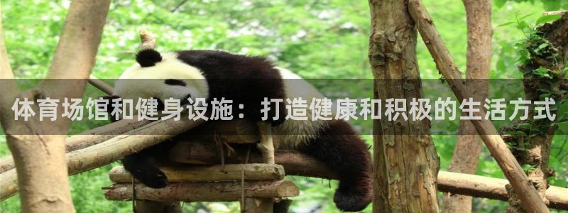 意昂3集团官网首页网址：体育场馆和健身设施：打造健康
