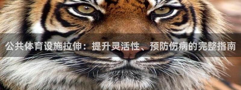 意昂3五金厂：公共体育设施拉伸：提升灵活性、预防伤病