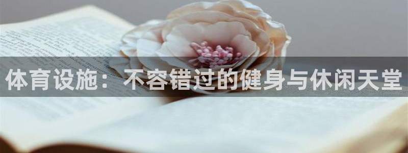 意昂3神州：体育设施：不容错过的健身与休闲天堂